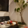 Thumbnail of related posts 031