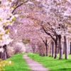 Thumbnail of post image 155