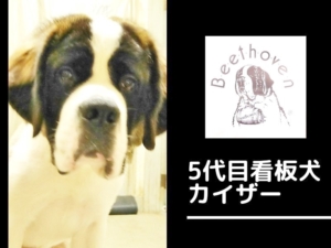 仙台コーヒー豆 ベートーベン 看板犬と奏でる珈琲の調べ 時を越え愛される専門店