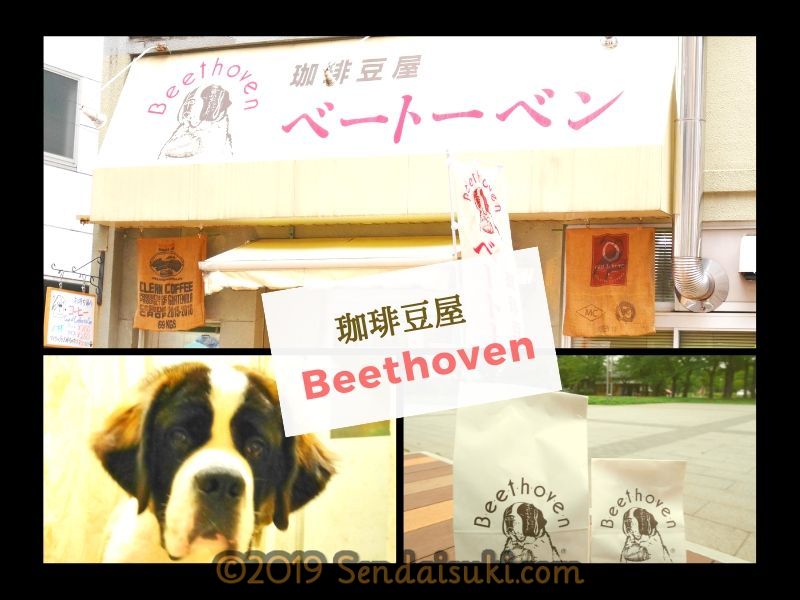 仙台コーヒー豆 ベートーベン 看板犬と奏でる珈琲の調べ 時を越え愛される専門店