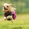 Thumbnail of post image 072
