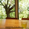 Thumbnail of related posts 132